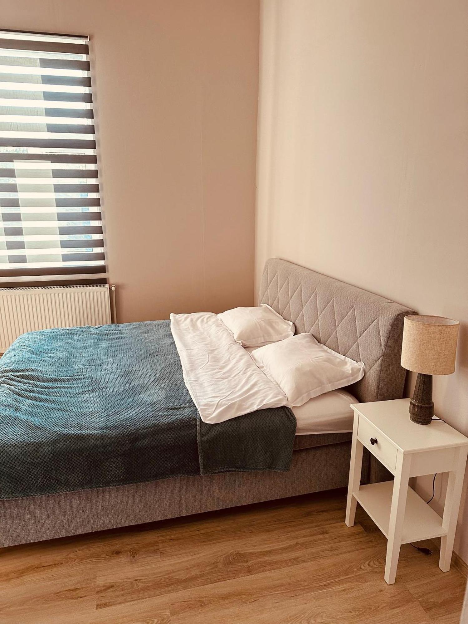 Serbian House Bed & Breakfast Timisoara Exterior photo