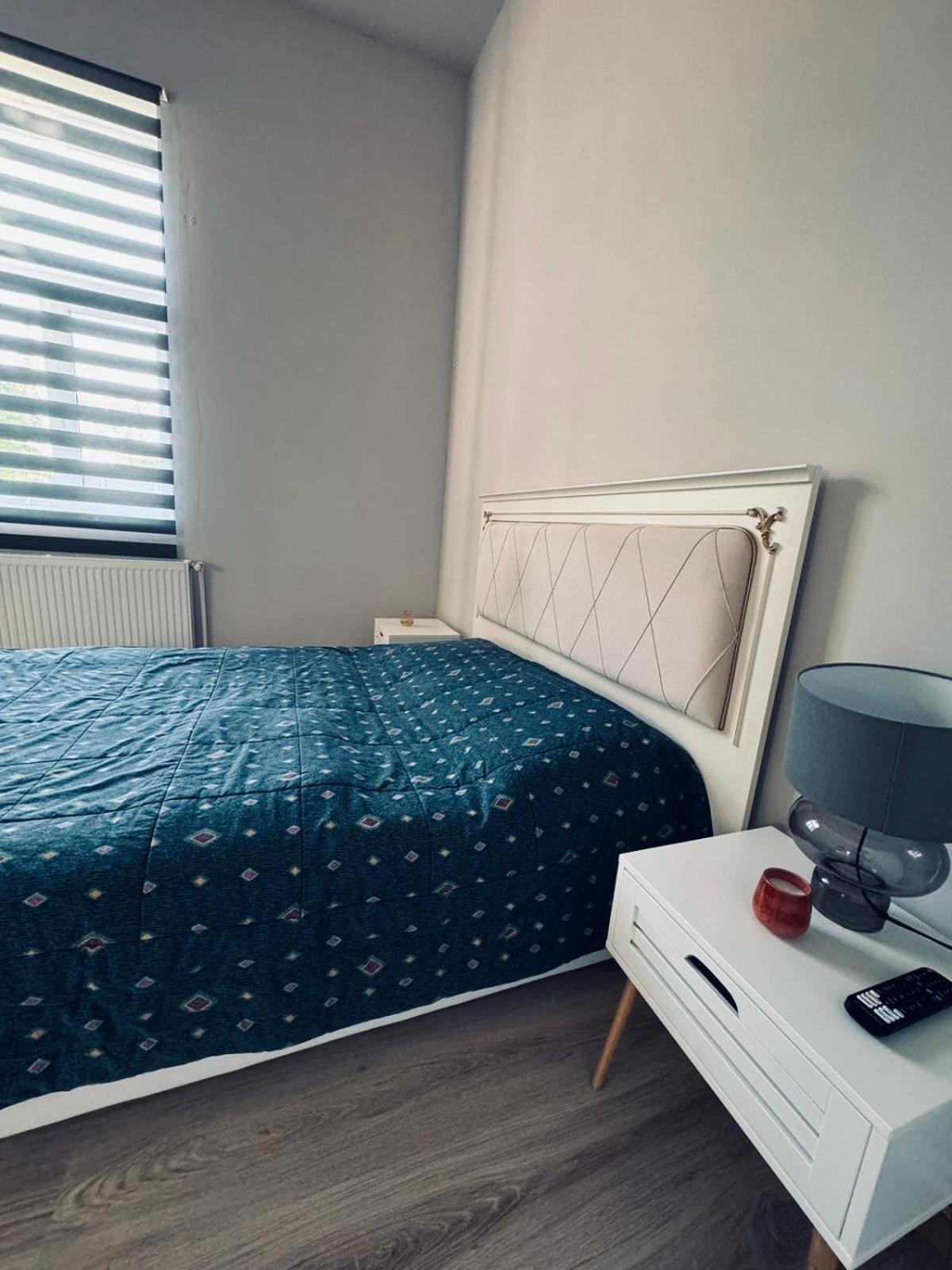 Serbian House Bed & Breakfast Timisoara Exterior photo