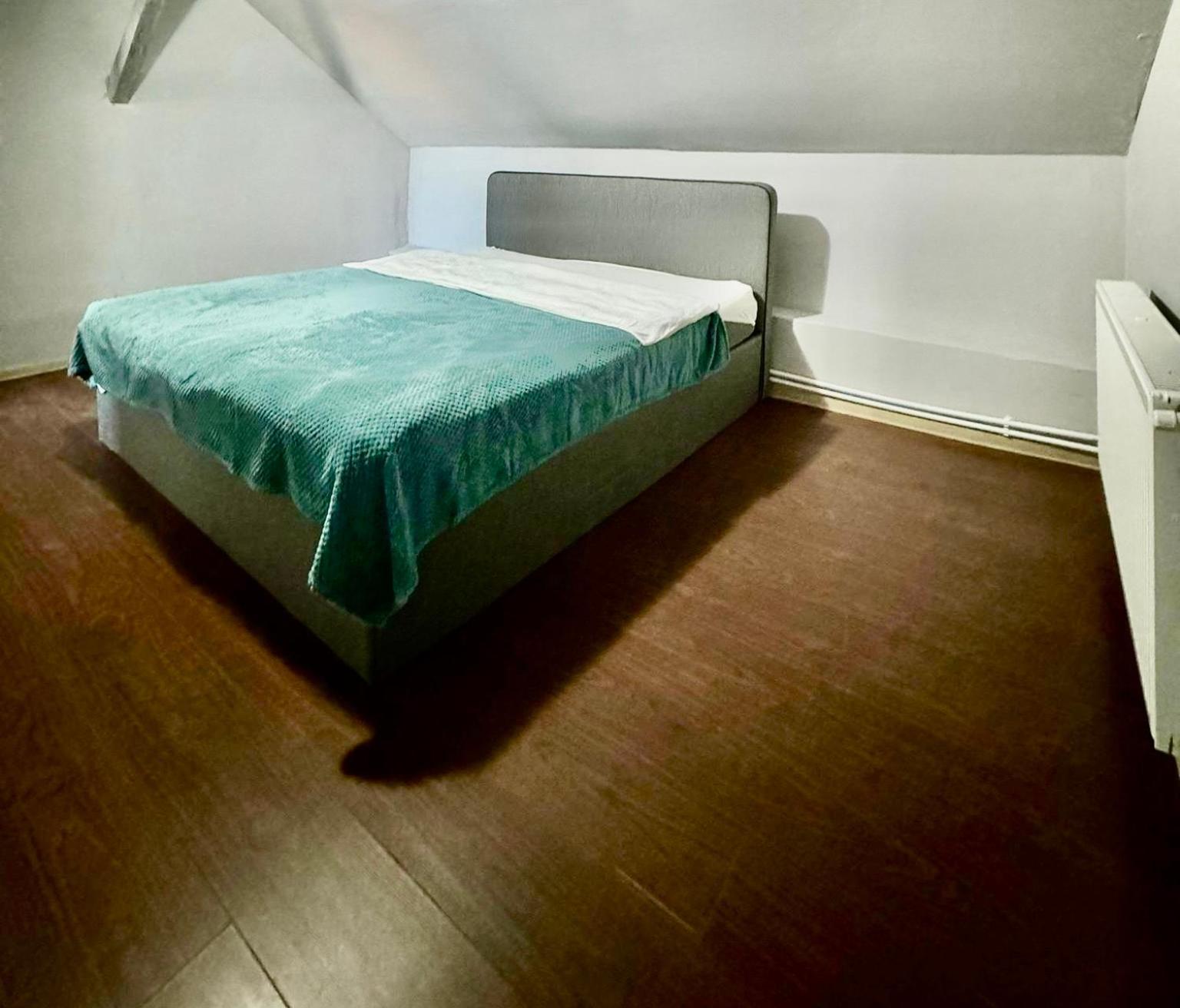 Serbian House Bed & Breakfast Timisoara Exterior photo