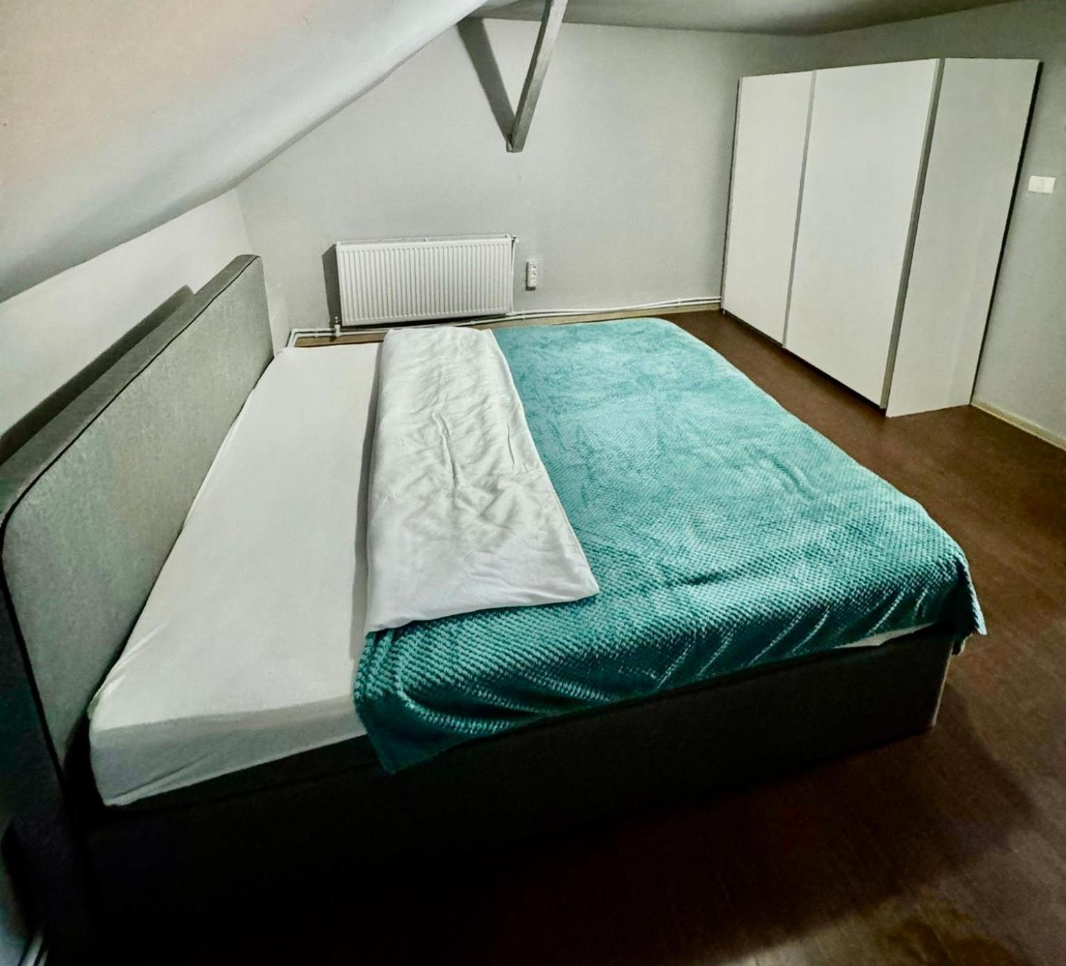 Serbian House Bed & Breakfast Timisoara Exterior photo